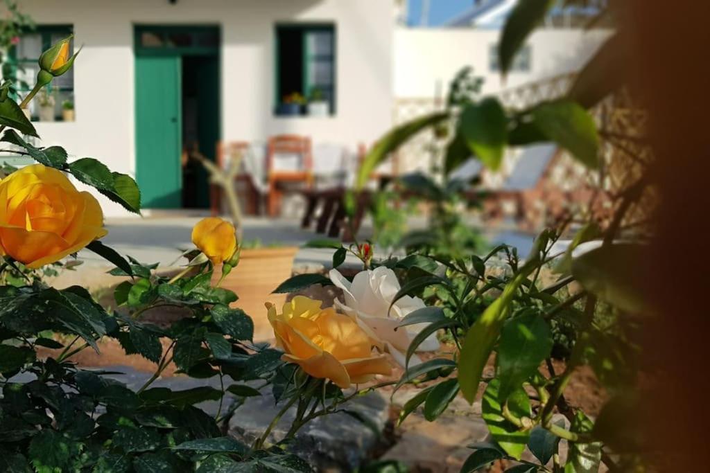 Erofili Cottage House Elounda  Bagian luar foto