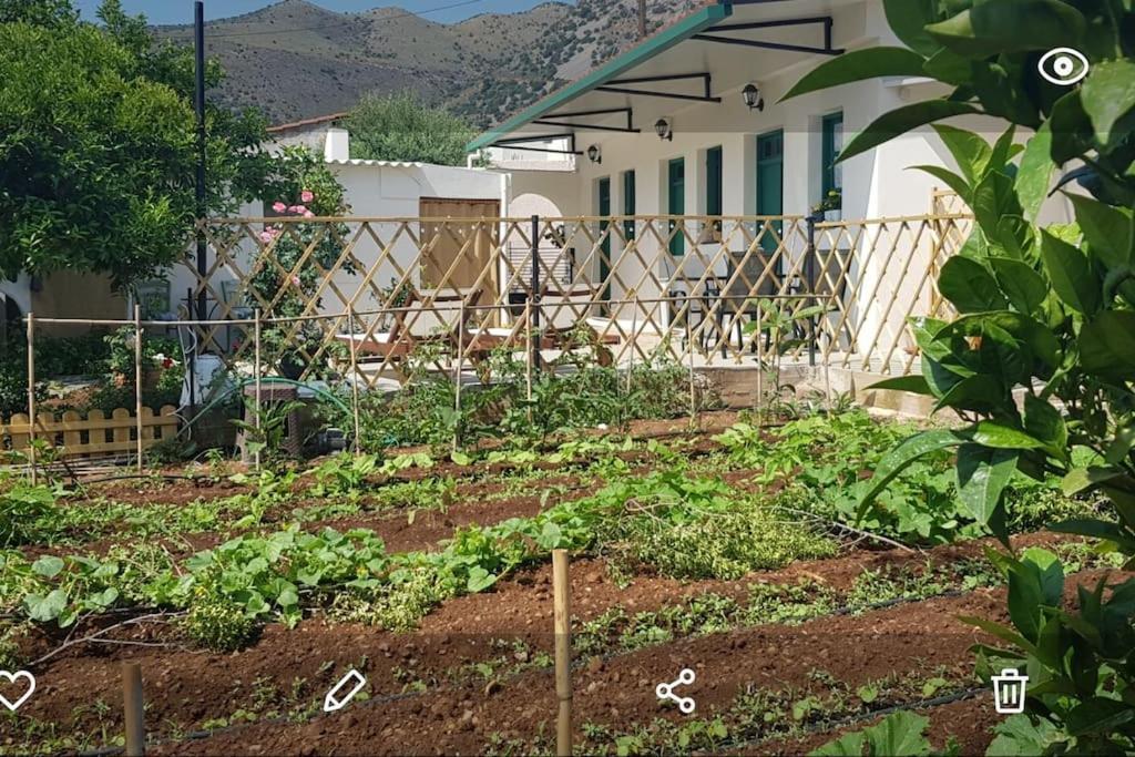 Erofili Cottage House Elounda  Bagian luar foto